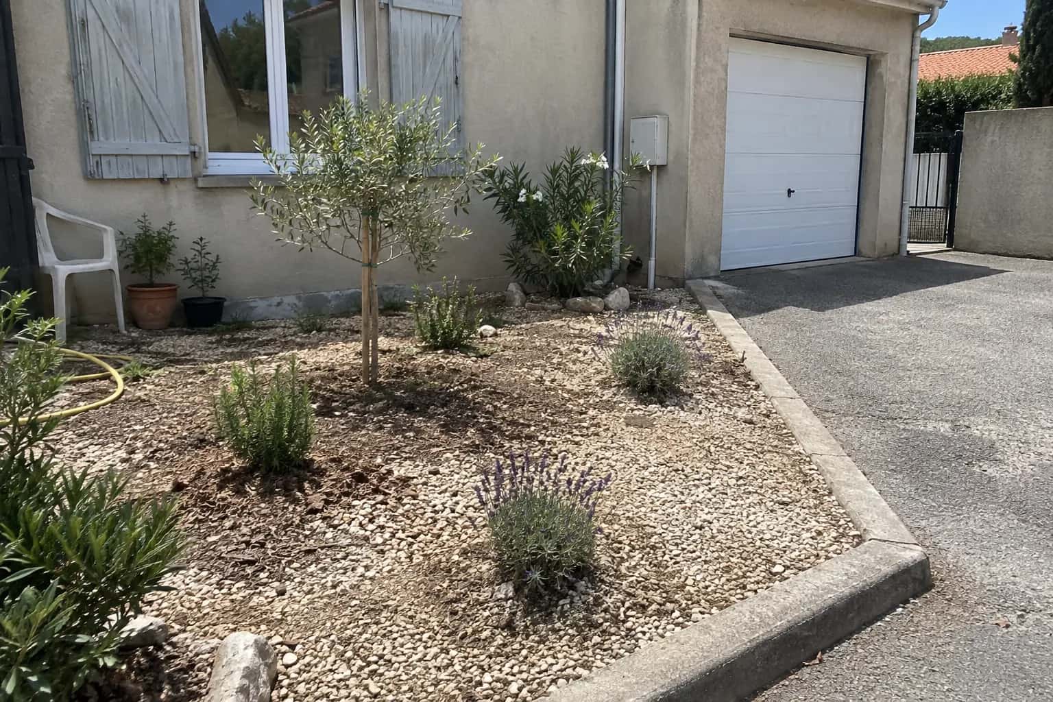 Jardin sec devant une maison : jeune olivier tuteuré, lavandes et romarins dans le gravier