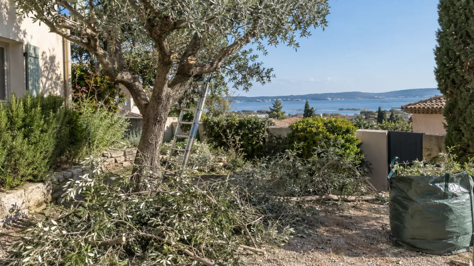 Élagage à Mèze : décider du sort des branches coupées avant de demander un devis