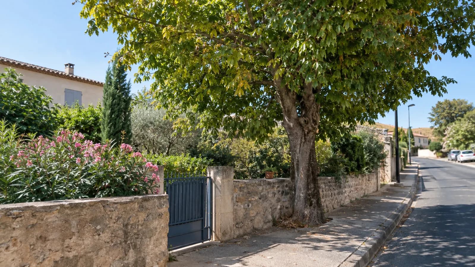Élagage à Roujan : préparer l'emprise du chantier côté rue avant de demander un devis